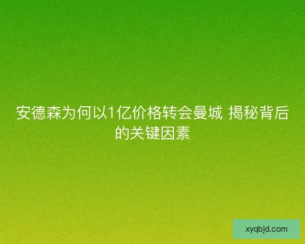 安德森为何以1亿价格转会曼城 揭秘背后的关键因素